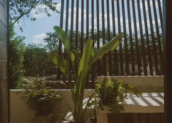 Villa Enchanting 4br Villaδ Pool& Rooftopδprime Location Tulum